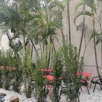 Outdoor seating at Cafe Nutrients in Naples