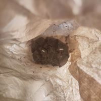 Also got a sneaky cookie, it is nice and crunchy at Vegan Bombon in Alicante