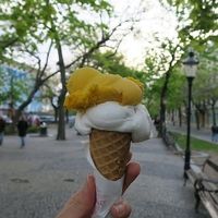 mango and coconut at Luculus Ice Saloon in Bratislava