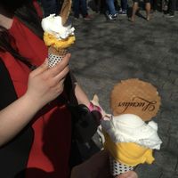 Mango and lemon  at Luculus Ice Saloon in Bratislava