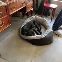   at Bite Me Cafe in Madrid