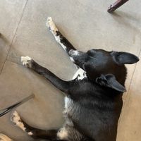   at Bite Me Cafe in Madrid