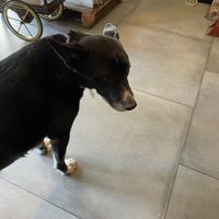   at Bite Me Cafe in Madrid