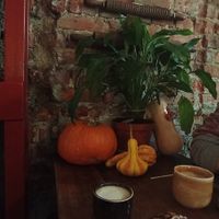 Cafés e donut de pistacho at Bite Me Cafe in Madrid