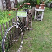 The garden season has been opened! at Amelie Cafe & Dekoration in Saarlouis