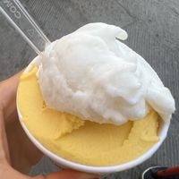 Coppetta limone e mango  at La Bottega del Gelato in Pisa