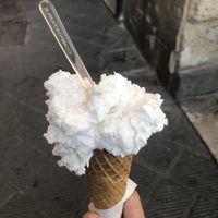   at La Bottega del Gelato in Pisa