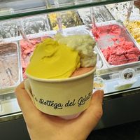   at La Bottega del Gelato in Pisa