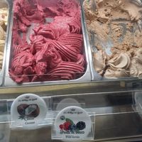 Vegan option 4. at La Bottega del Gelato in Pisa