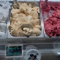 Vegan option 3. at La Bottega del Gelato in Pisa