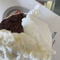 Vegan ice creams and sorbet   at La Bottega del Gelato in Pisa
