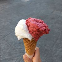 Wild berries and lemon at La Bottega del Gelato in Pisa
