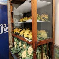 Whole cauliflower- miznon's signature dish at Miznon - Ibn Gabirol in Tel Aviv