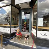 We love our four legged friends! at Vegetalien in Beacon