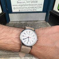 The restaurant was completely closed at 5:40PM despite advertising a closing time of 6PM. at Vegetalien in Beacon