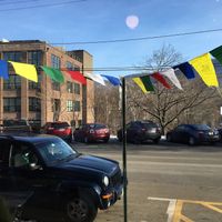 Freedom flags flying outside  at Vegetalien in Beacon