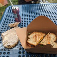 Mushroom sandwich and cookie at Vegetalien in Beacon