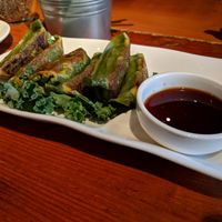 Pan fried dumplings at LuAnne's Wild Ginger - Franklin in Brooklyn