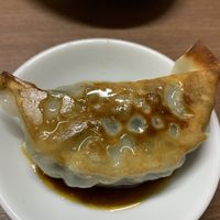 Veggie gyoza with soy sauce at Gyoza no Umechan in Nikko