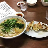 Vegan ramen and gyoza at Gyoza no Umechan in Nikko