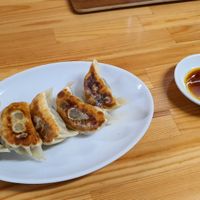 Vegan Gyoza at Gyoza no Umechan in Nikko