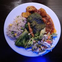 Vegan buffet food at Higher Taste Restaurant in Wellington