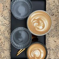 Vanfruct at VanFruct Campineanu in Bucharest