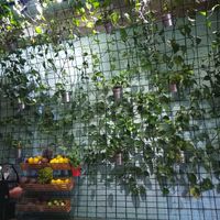 Above the seating area. at VanFruct Campineanu in Bucharest