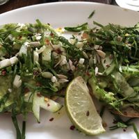 Avocado & vegan feta bagel at Roots in Edinburgh