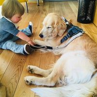 baby’s love ?  at Cafe Parallel 43 in Sofia