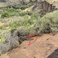   at River Rock Roasting Company in La Verkin