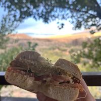 AHH! Vegan patty on the back deck   at River Rock Roasting Company in La Verkin
