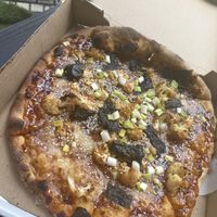 Vegan Shogun Shadowboxer   at Tony Boloney's Hoboken in Hoboken