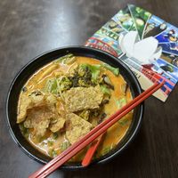 Laksa  at Yi Xin Vegetarian 一心素食 in Central Singapore
