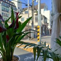View when you sit at the table by the window at Oktoga - 옥토가 in Busan