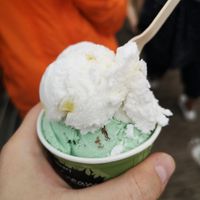 Vegan coconut and baobab, vegan mint choc chip at Eden Project in St Austell