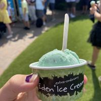 Vegan mint choc chip ice cream! (the cones are not vegan) 💗💗 at Eden Project in St Austell