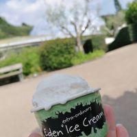  at Eden Project in St Austell