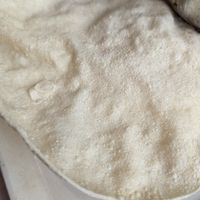  at Eden Project in St Austell