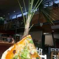 how do you take a good picture of pizza  at Eden Project in St Austell