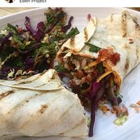 Vegan burrito, it’s giant and packed with loads of veg and vegan cheese at Eden Project in St Austell