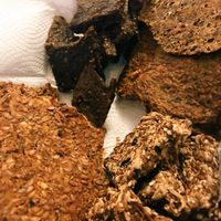 Raw Bites at Detoks Cafe  in Kocaeli