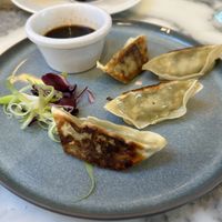 Spicy Gyoza  at Wulf & Lamb Chelsea in London