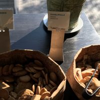 Lactose-free oat cookies and cinnamon rolls at Scandic Simonkenttä in Helsinki