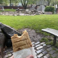   at Falafel To Go in Glasgow