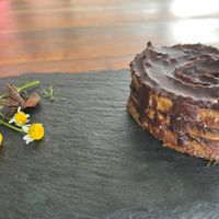  at Seedling in Tulum