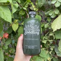 Spirulina + cilantro + celery + apple + lime #Veganuary at Seedling in Tulum