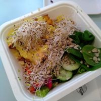 Photo isn't the best but the meal was great! at Krowarzywa in Wroclaw