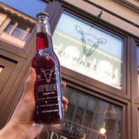 Kombucha jagody asai at Krowarzywa in Wroclaw