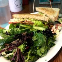  at The Hogtown Vegan in Toronto